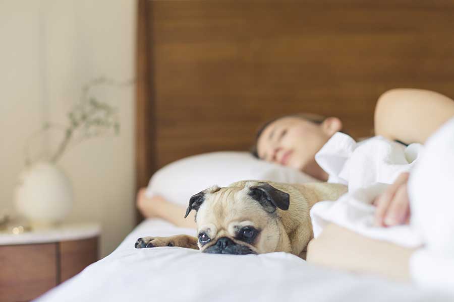 Sleep longer, eat less sugary foods