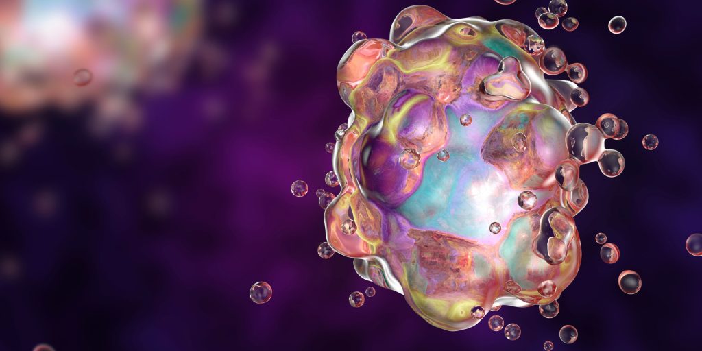 fasting and autophagy